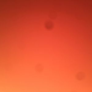 Meet your Posher, Amparo